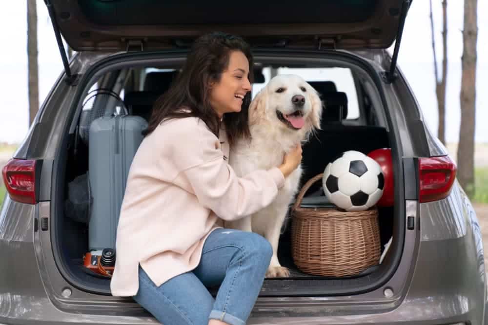¿Cómo tienes que llevar al perro en el coche?
